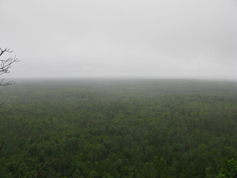 Green forest stretching south from Norwich Bluff