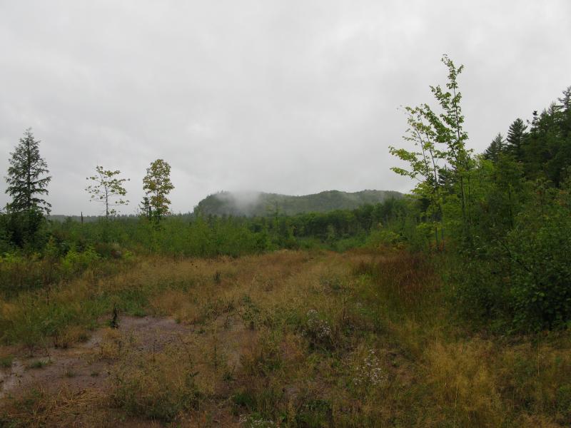 Shrouded view of Norwich Bluff, far to the west