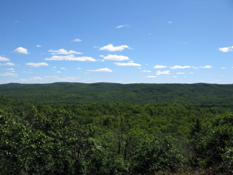 Deep green valley of the Yellow Dog River