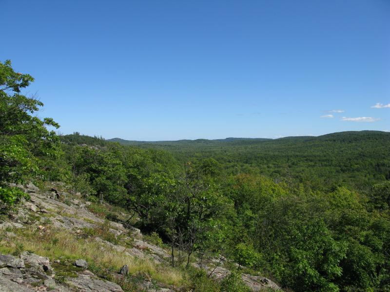 Yellow Dog River valley, looking downriver