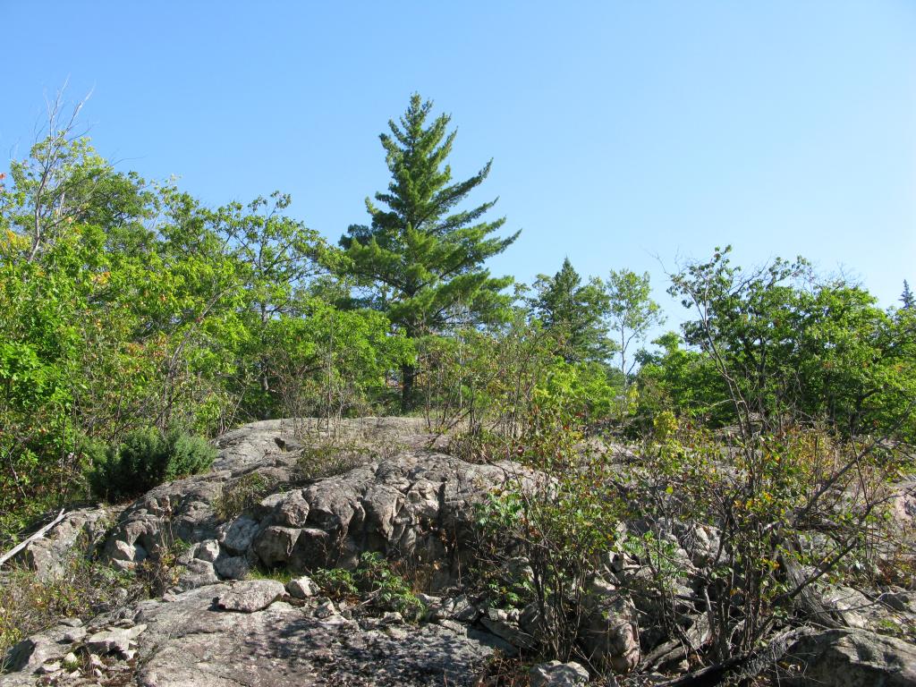 Blog | Panorama Hills - Eastern Peaks