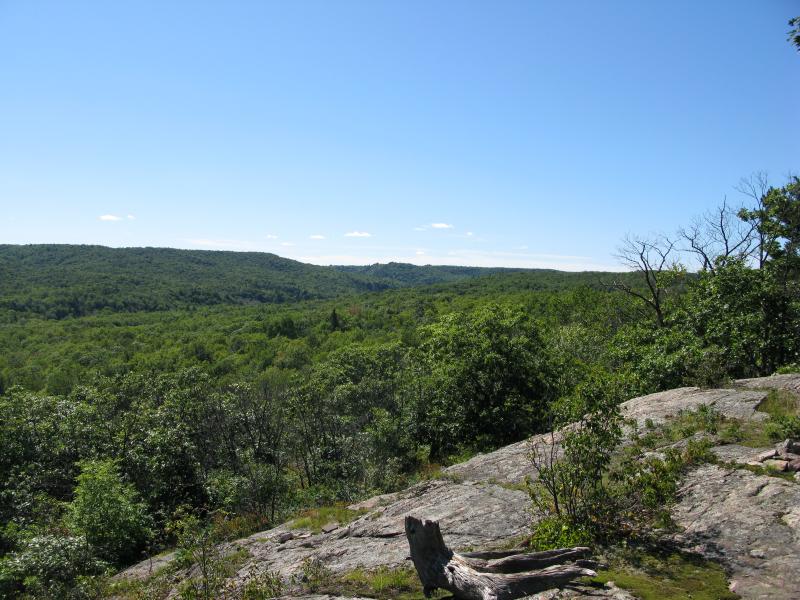 Far up the river, looking at Yellow Dog Plains