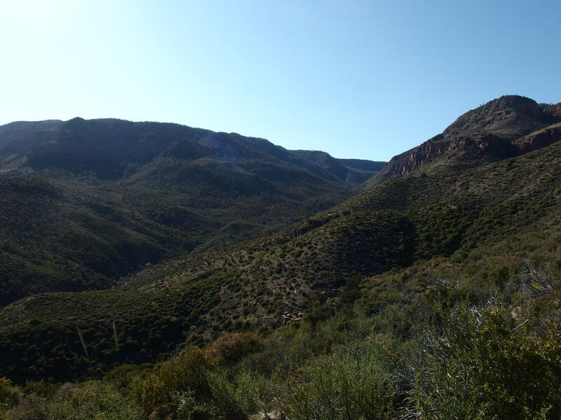 Humbling view up Coon Creek