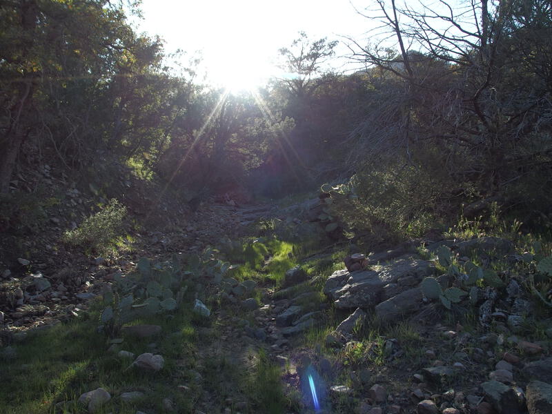 A dreamy, easy climb out of Coon Creek