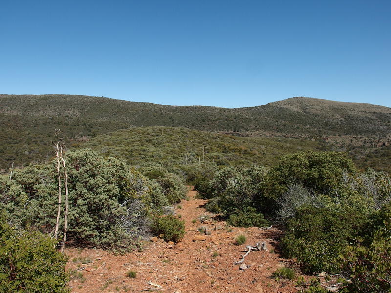 Endless hills of easy, boring hiking