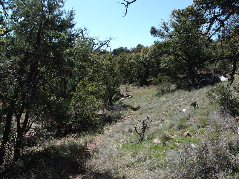 Narrow trail on Deep Creek