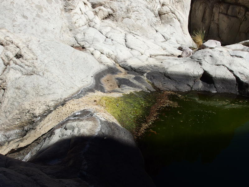 Skunky pools of water on the hard rock creek bed