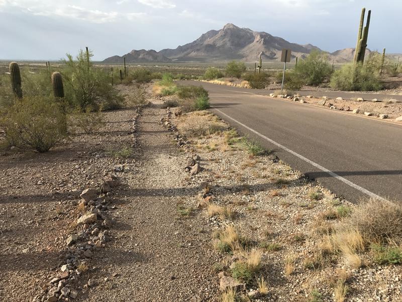 An easy roadside trail