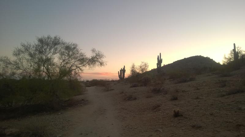 Darkening trails under the desert twilight