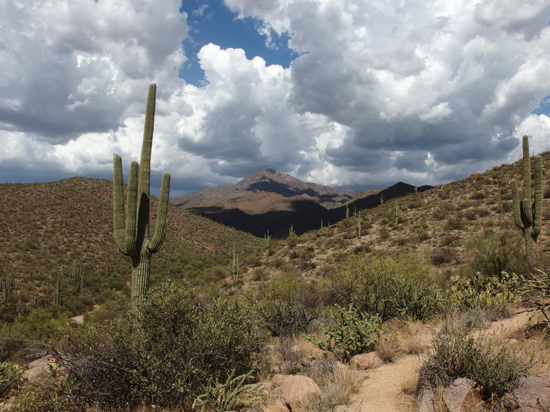 First view of Boulder Mountain in the east