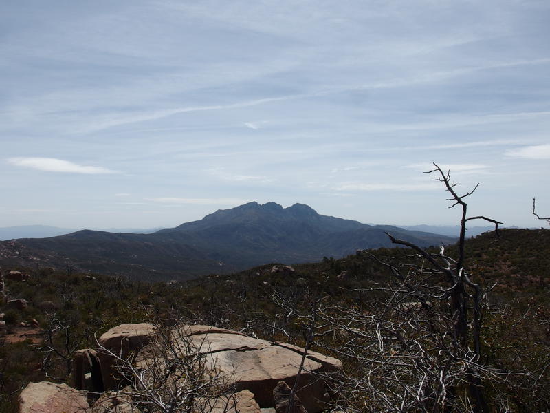 South at the Four Peaks