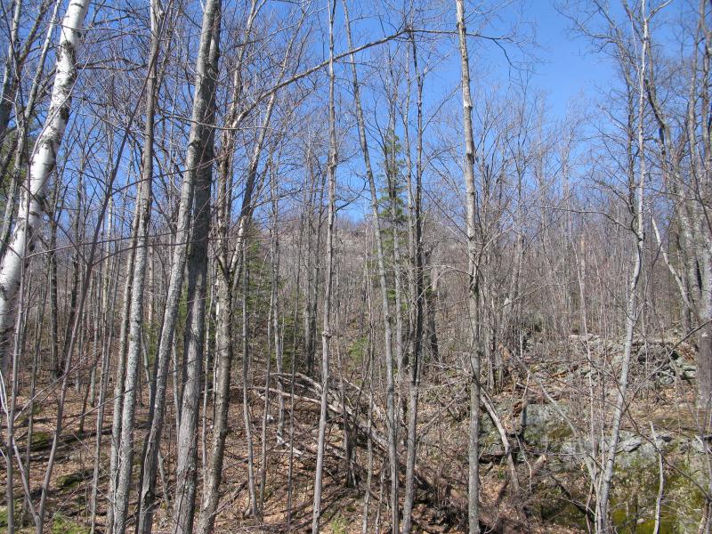 A welcoming bare, rocky slope