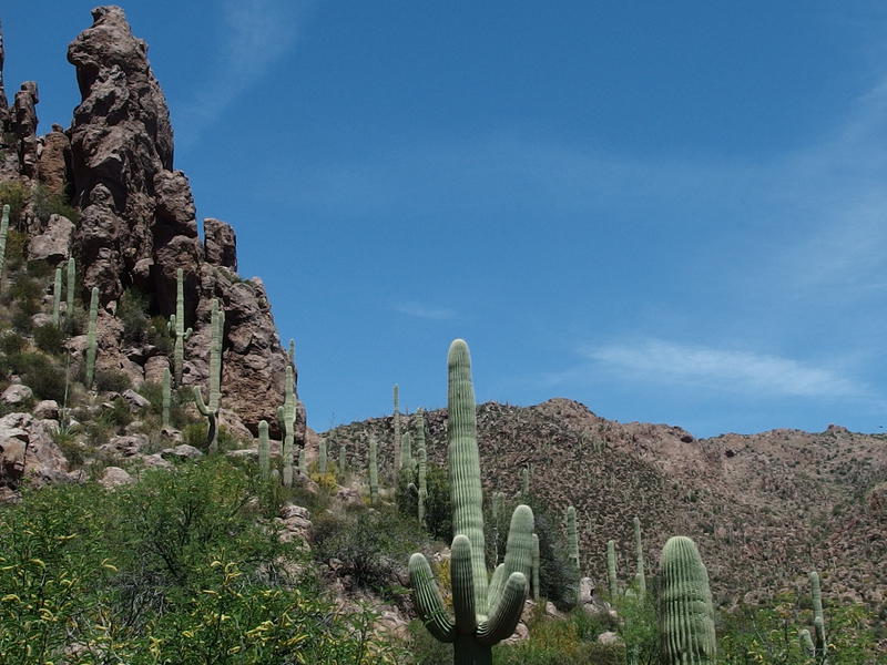 Cactus and rock spires reaching for the heavens