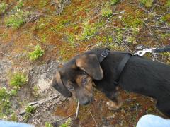 Young Logan at Rice Lake