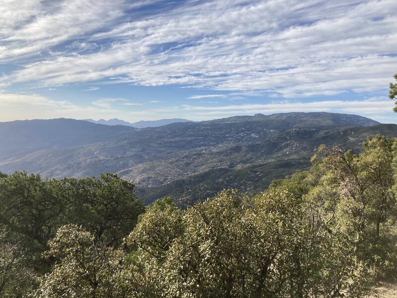 Looking north at Mica Mountain and Santa Catalinas