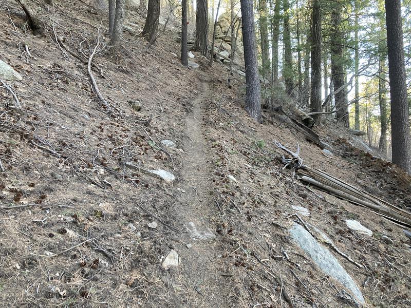 The steep, narrow trail up to the peak