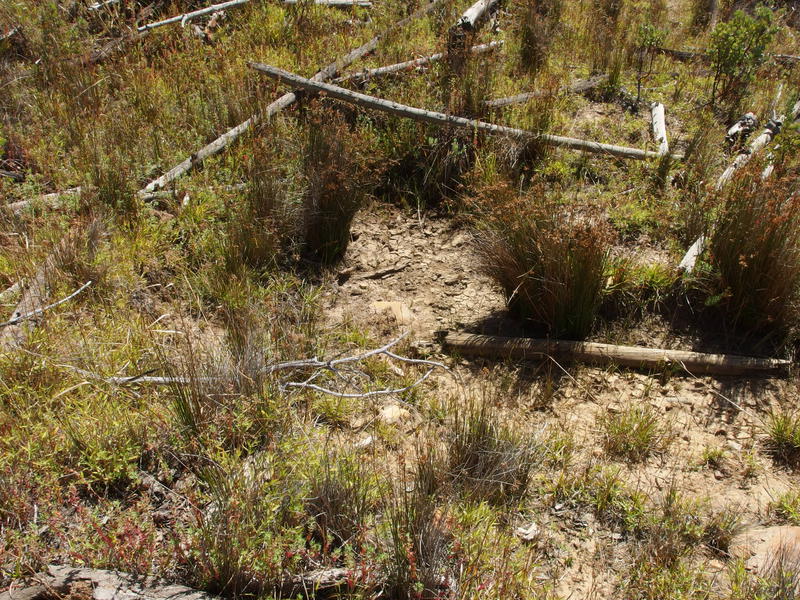 Bone-dry Hopi Spring