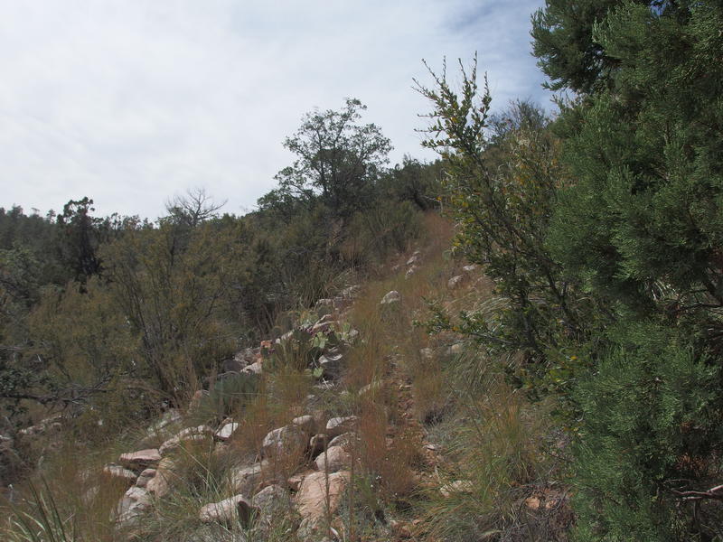 A grassy, rocky trail up to the saddle