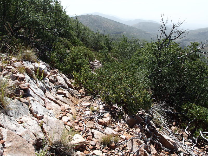 The tricky descent down to Hopi Springs