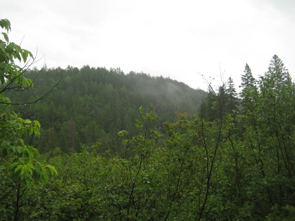 Blog | Rocking Chair Lakes