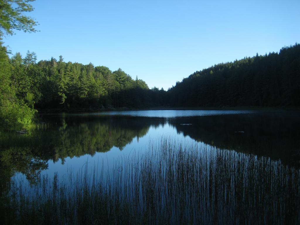 Blog | Hills Lakes