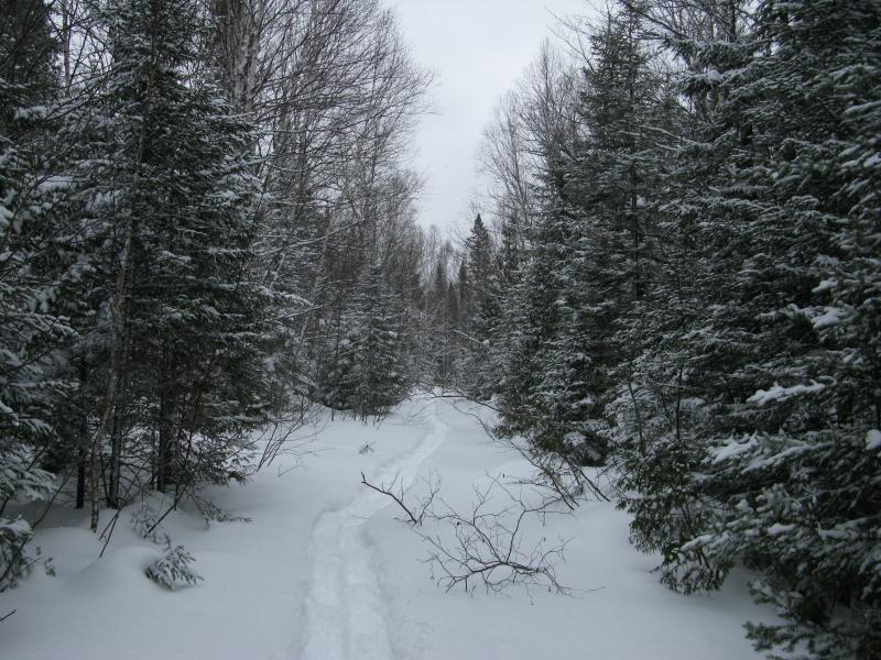 Our narrow little track through the snow