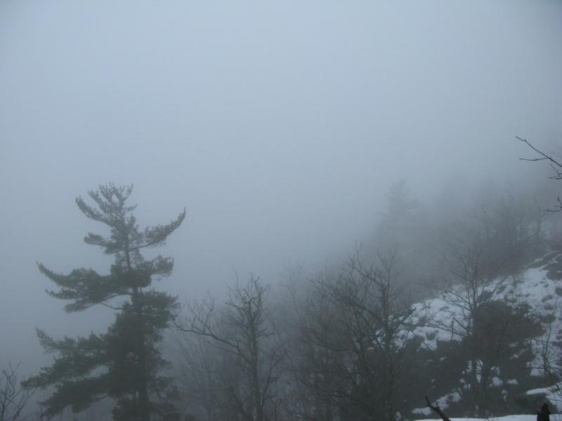 Dense fog blocking all hopes of a view