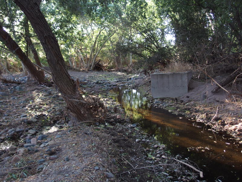 Another crossing of Sycamore Creek