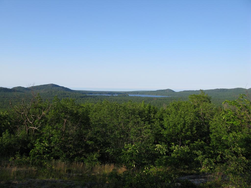 Blog | Lookout Mountain on Section 17