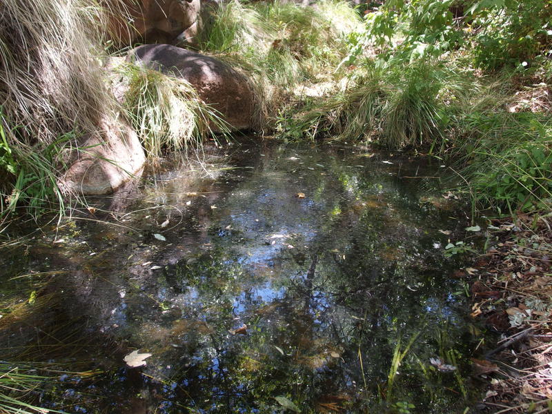 Excellent water found at Willow Spring