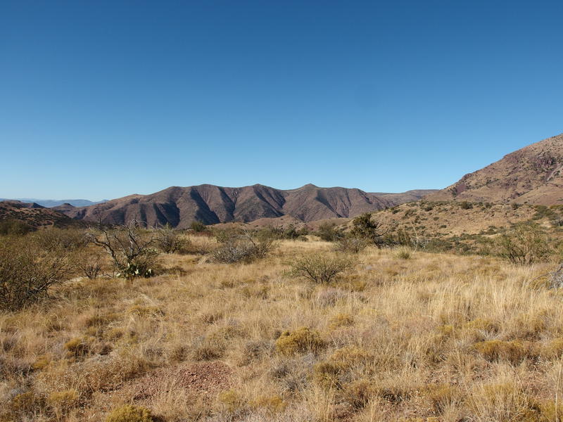 Looking north towards Deadman Creek and Mountain Spring