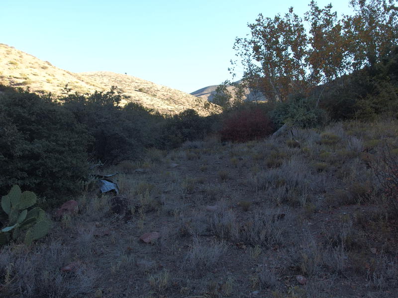 All that's left of the ranching cabin