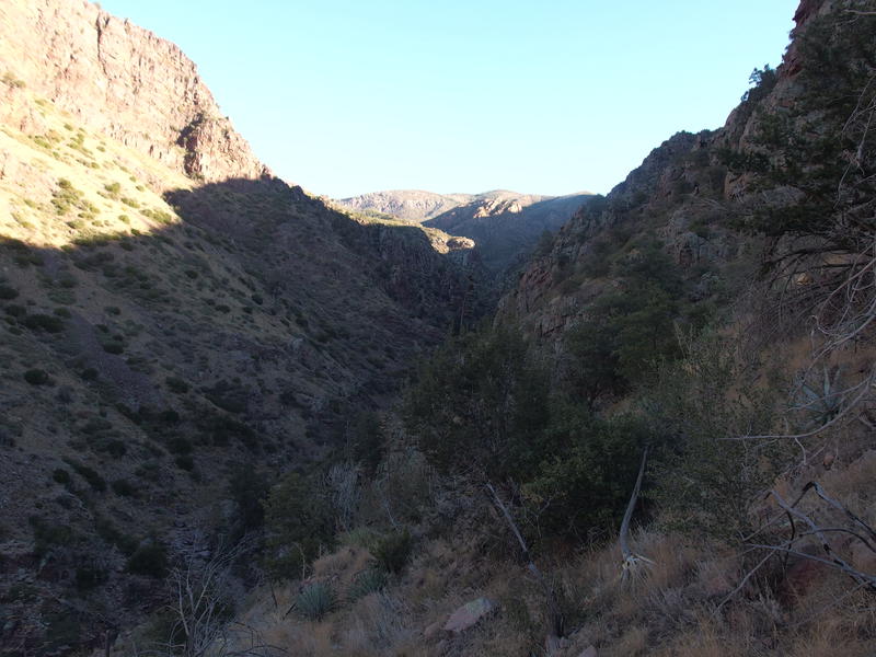 A deep gorge surrounding the creek