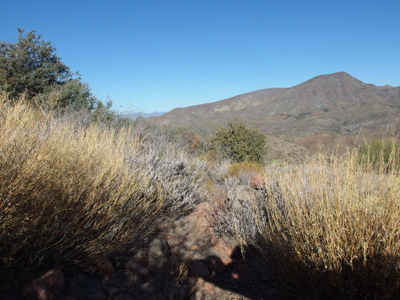 Some remnants of a trail to follow