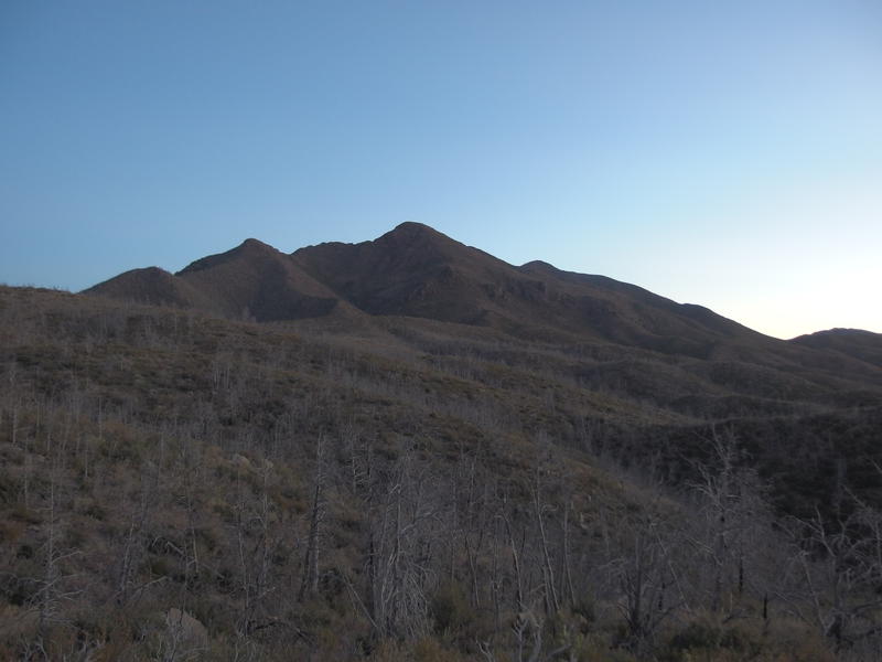 Predawn light on Sheep Mountain