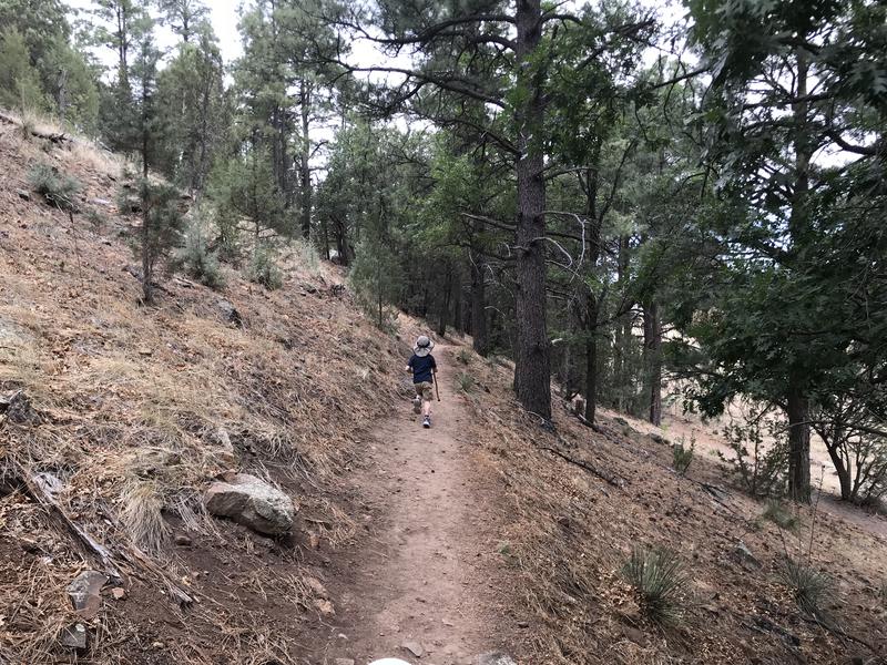 Narrow, hillside trail climbing the bluff
