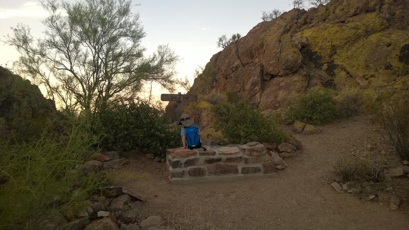 Noah chilling at the bench