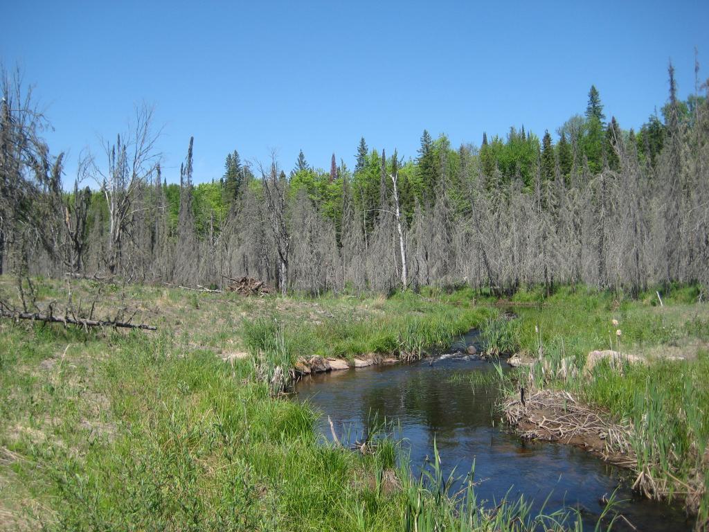 Blog | Weekend on Mulligan Part B - Silver Lake Basin