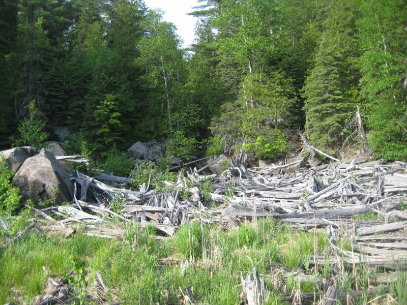 Clutter near the Silver Lead Mine Lakes outflow
