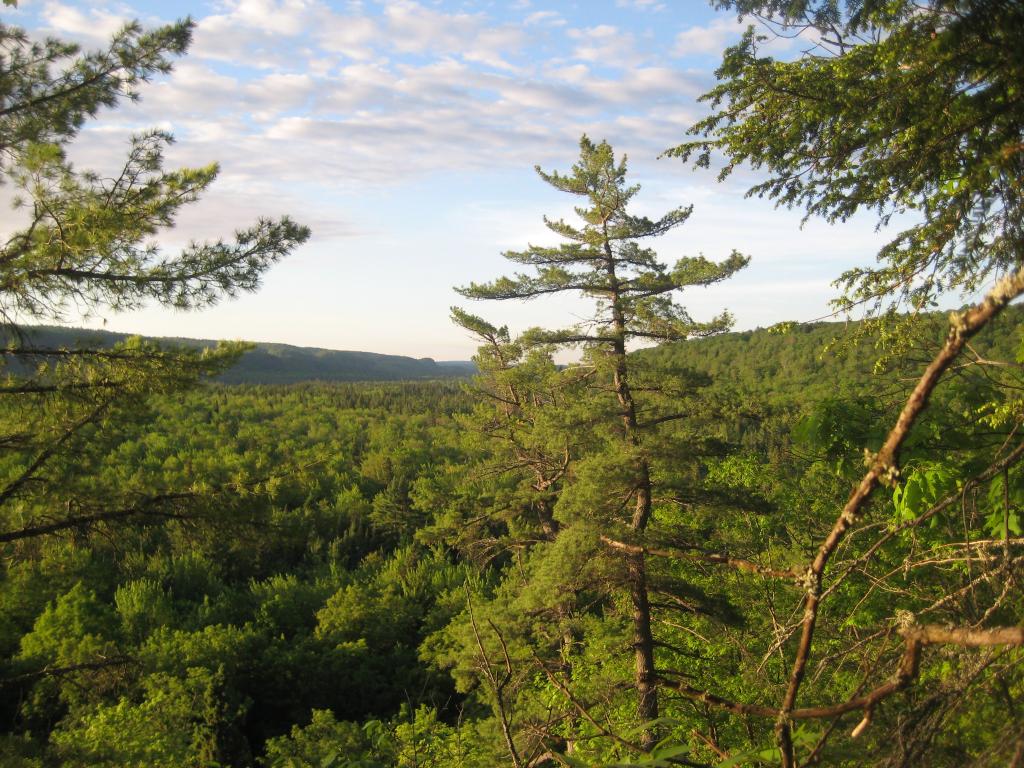 Blog | Weekend on Mulligan Part A - Deer Lake