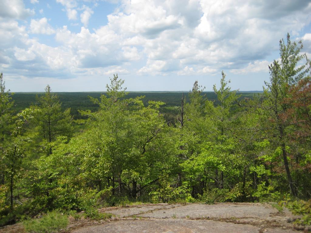 Blog | Volcanic Plugs of Ottawa Forest