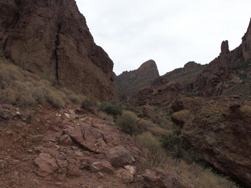 Distant Flatiron luring me forward