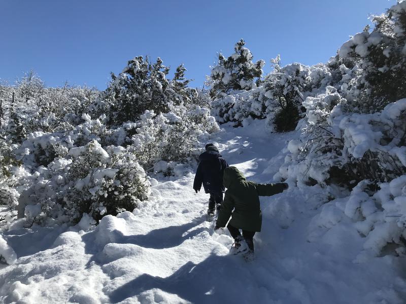 A slow, cold climb