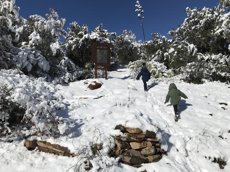 Snowy start, right from the trailhead