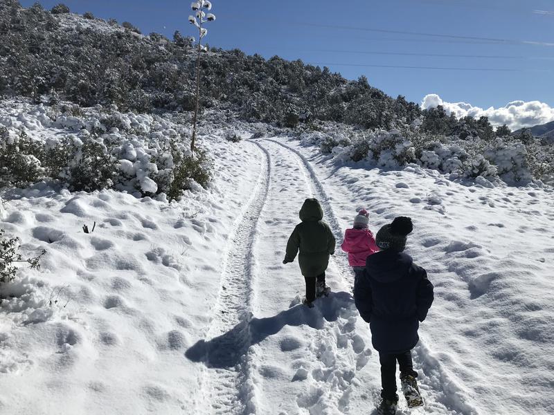 All three kids walking the two-track