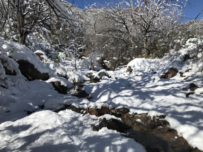 Flowing creek through the snow