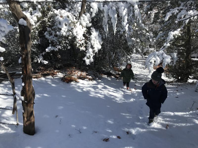 Boys slowly trudging through the snow