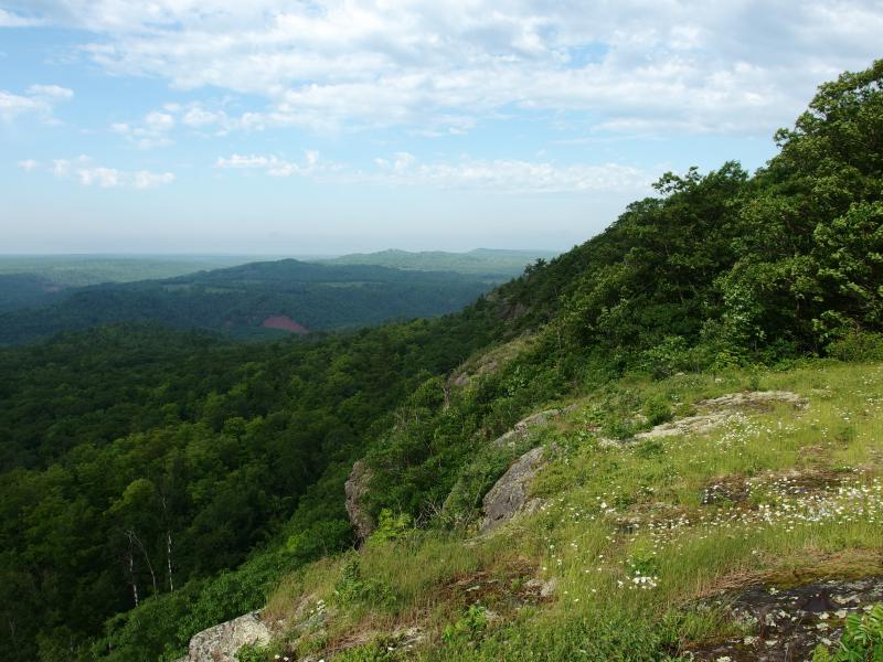 Gently bowing hills covered in moss and grass