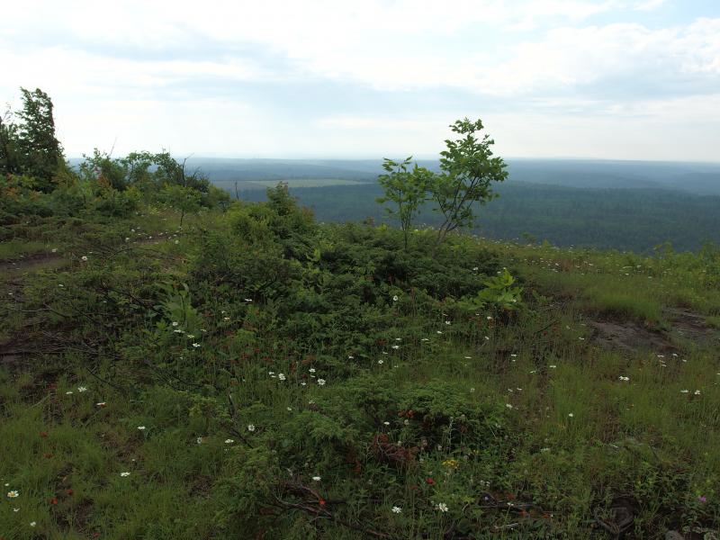 Open view over the bluff