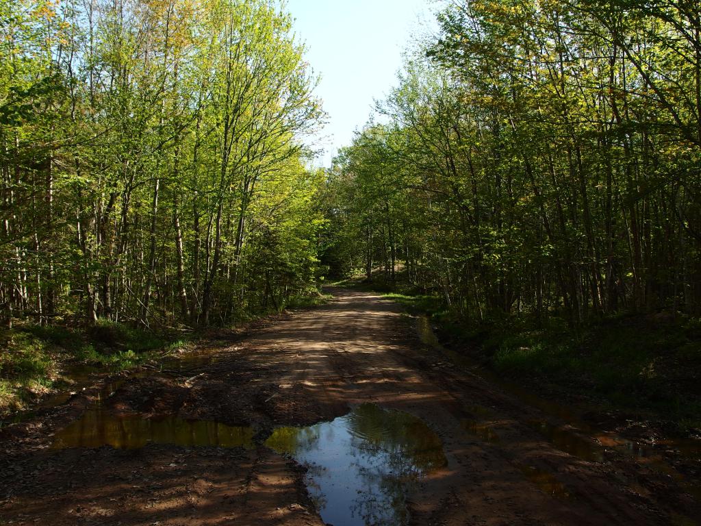 Blog | The Hill of Ericks Road